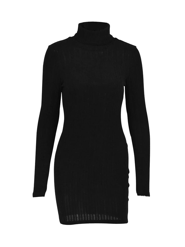 Autumn Black Solid Turtleneck Sheath Dress