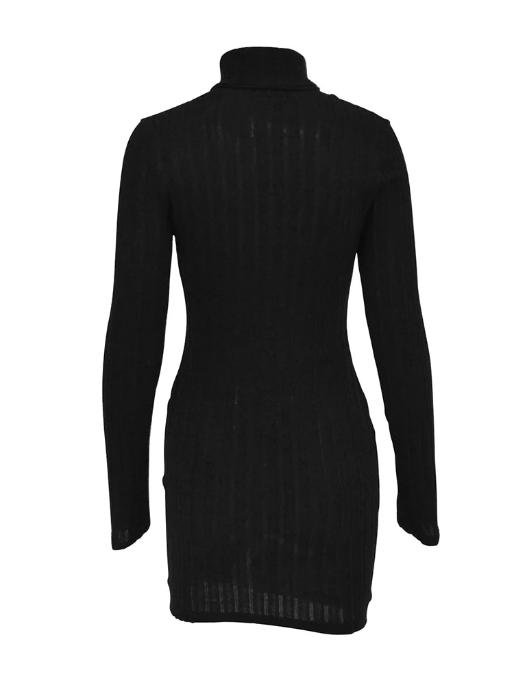 Autumn Black Solid Turtleneck Sheath Dress