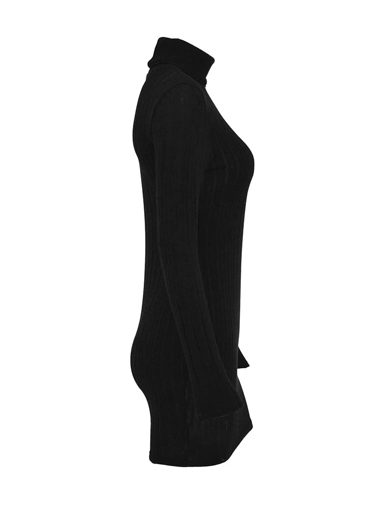 Autumn Black Solid Turtleneck Sheath Dress